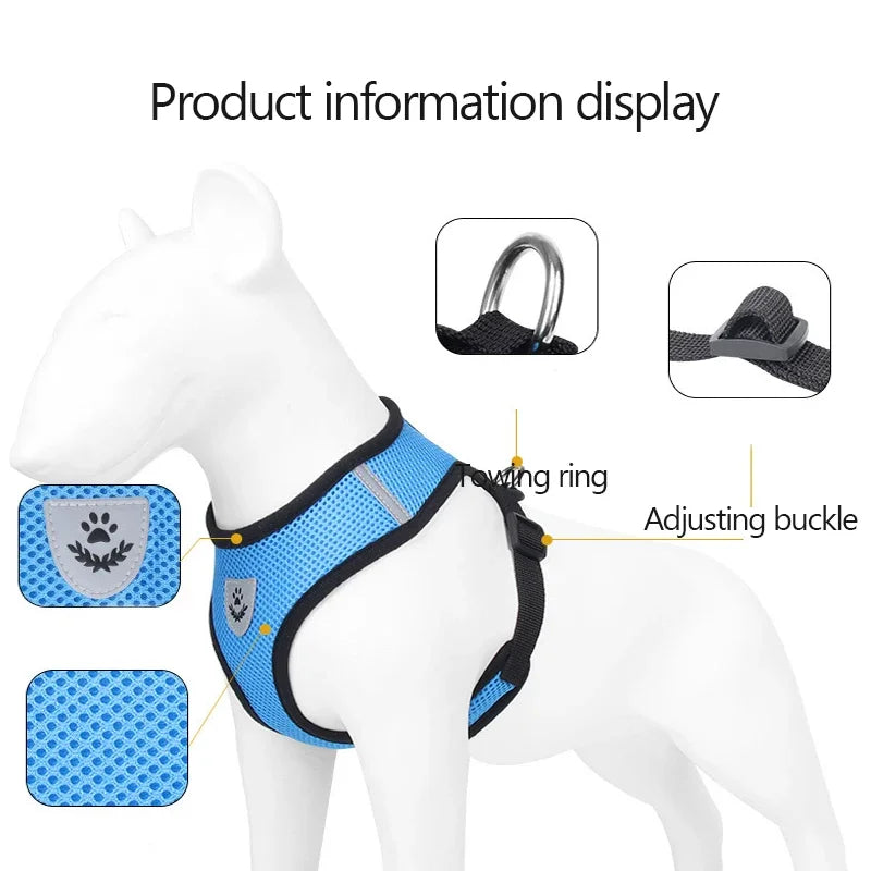 Adjustable Mesh Cat Harness with Leash – Comfortable, Breathable Vest for Small & Medium Pets