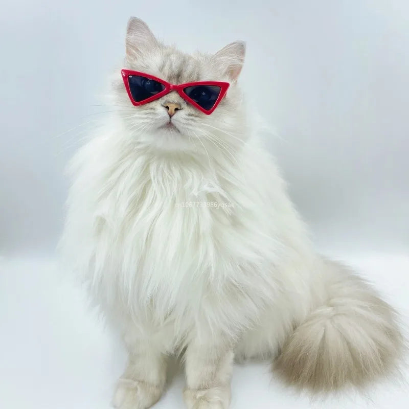 Vintage Triangle Cat Sunglasses – Reflective Eyewear for Small Cats & Dogs, Perfect Photo Prop