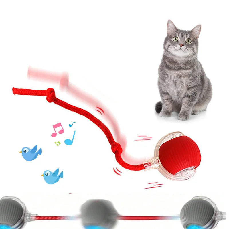 Interactive Cat Toys Ball Auto Electric Rolling Ball Toys Supplies for Cats/Kitty Pets Smart Automatic Teaser USB Rechargeable