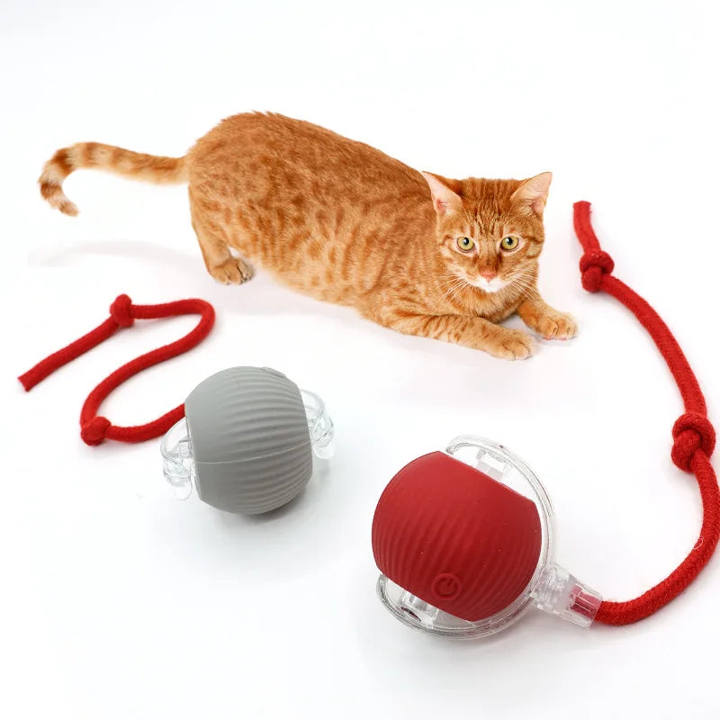 Interactive Cat Toys Ball Auto Electric Rolling Ball Toys Supplies for Cats/Kitty Pets Smart Automatic Teaser USB Rechargeable