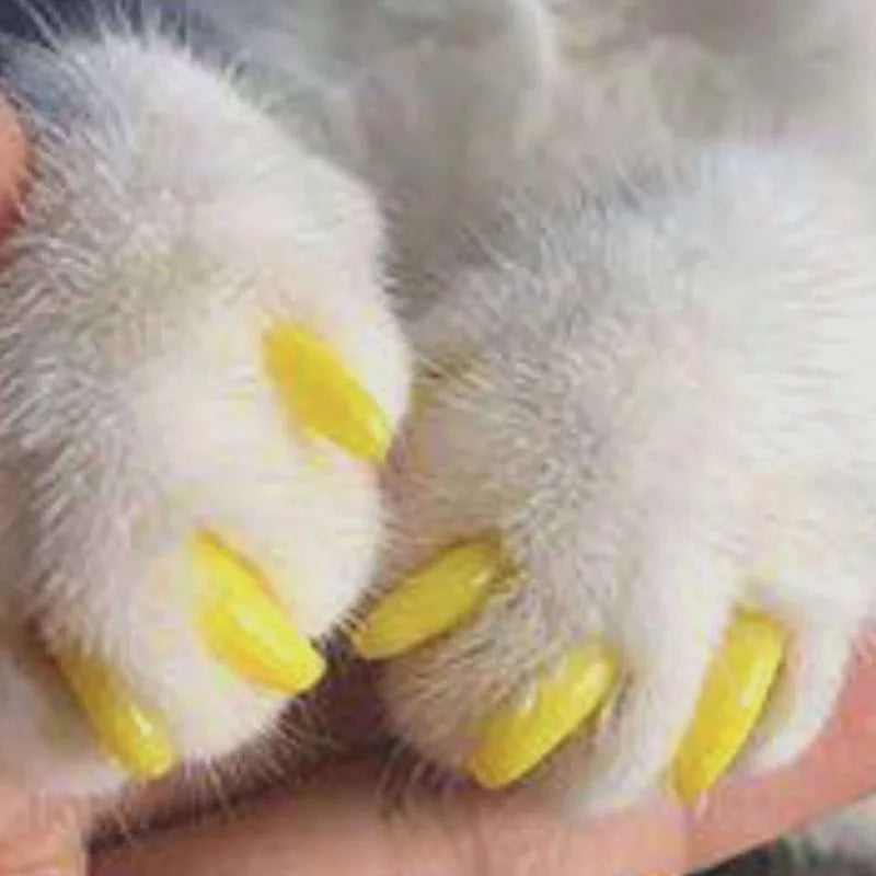 20pcs Colorful Soft Cat Nail Caps with Glue – Sizes XS to L, Safe for Cats & Dogs