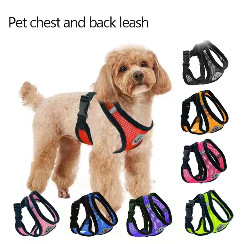 Adjustable Mesh Cat Harness with Leash – Comfortable, Breathable Vest for Small & Medium Pets