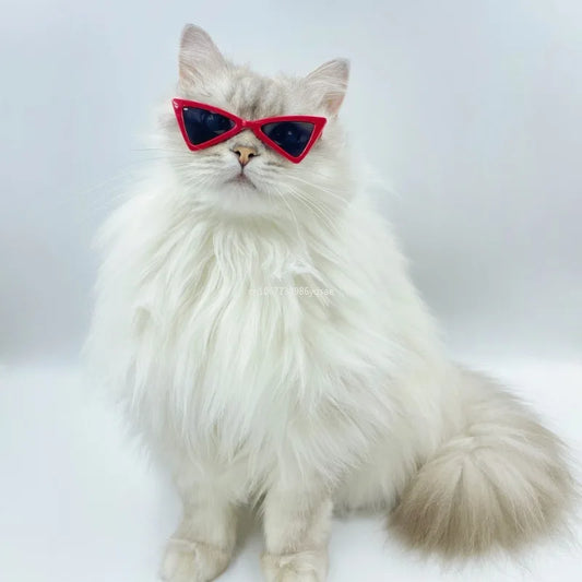 Vintage Triangle Cat Sunglasses – Reflective Eyewear for Small Cats & Dogs, Perfect Photo Prop