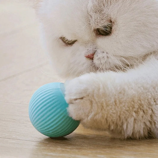 Magic Rolling Ball – Smart Interactive Cat Toy