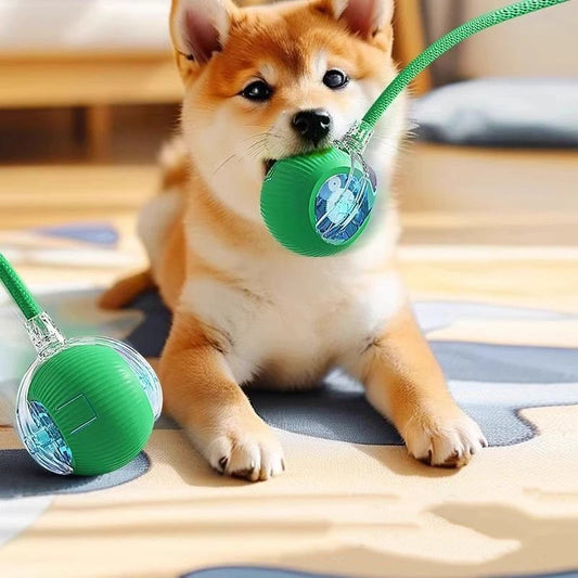 Interactive Cat Toys Ball Auto Electric Rolling Ball Toys Supplies for Cats/Kitty Pets Smart Automatic Teaser USB Rechargeable