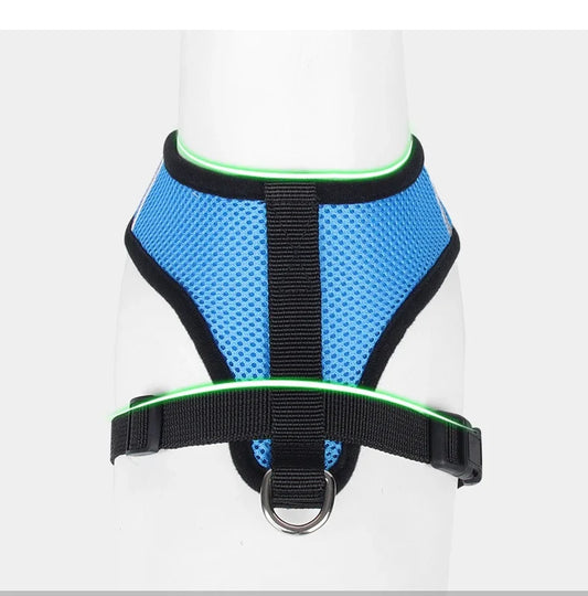 Adjustable Mesh Cat Harness with Leash – Comfortable, Breathable Vest for Small & Medium Pets
