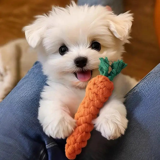 Carrot Rope Dog Toy – Bite-Resistant Cotton Chew for Puppies & Small Dogs, Helps Clean Teeth