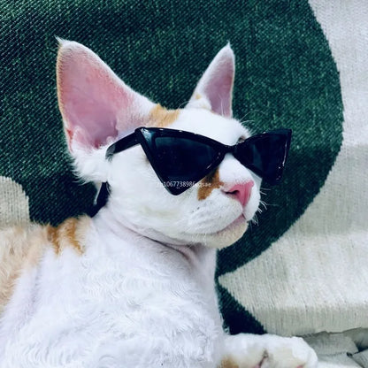 Vintage Triangle Cat Sunglasses – Reflective Eyewear for Small Cats & Dogs, Perfect Photo Prop